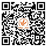 江苏恒嘉电力集团有限公司